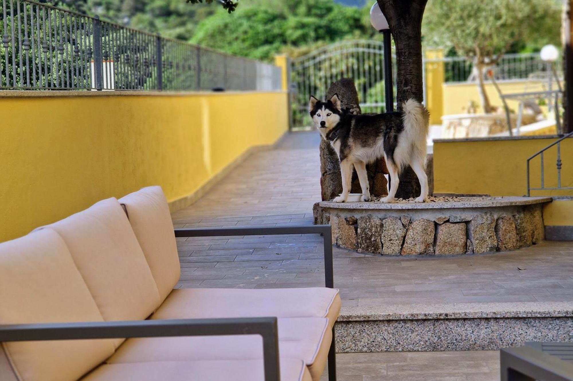 Sa Mamma E Sole B&B Cala Gonone Εξωτερικό φωτογραφία